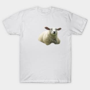 sweet sheep T-Shirt